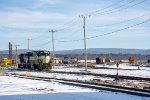 Kaleidoscope of colors at East Deerfield Yard